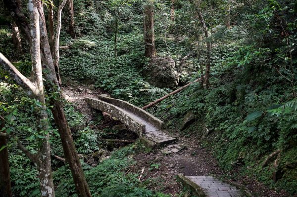 滿月圓森林步道2870085