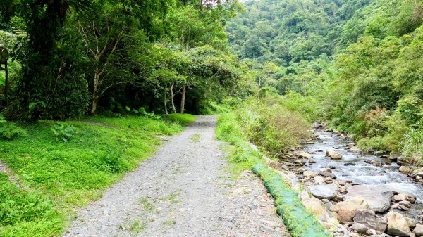 九寮溪自然步道2826885