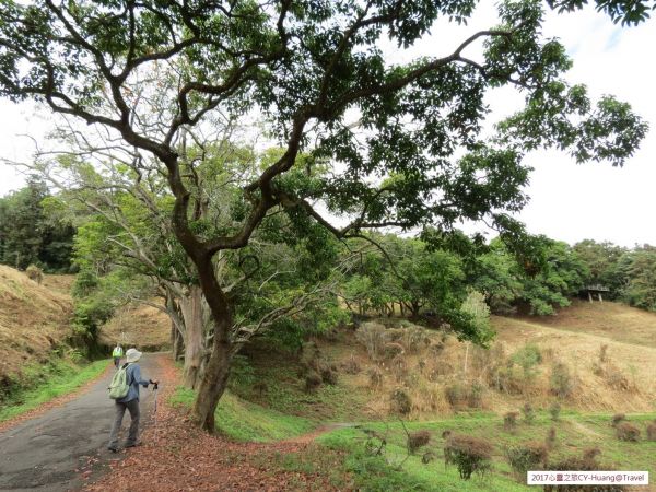 南投魚池貓囒山步道20171213223555