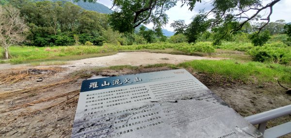 2023-06-23萬人山、六十石山步道群、羅山村竹林步道2193620