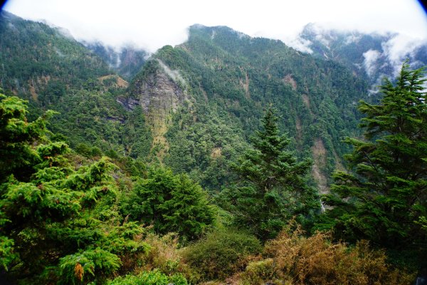 臺灣 嘉義 玉山3110191