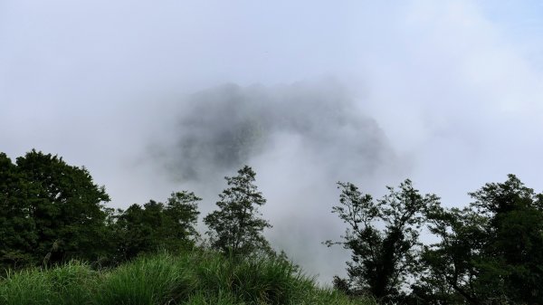 阿里山森遊區-祝山,對高岳步道2536985