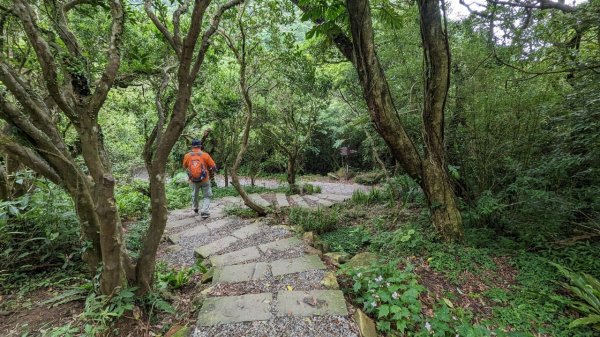 112.06.10向天池-向天山-面天山-大屯山2177904