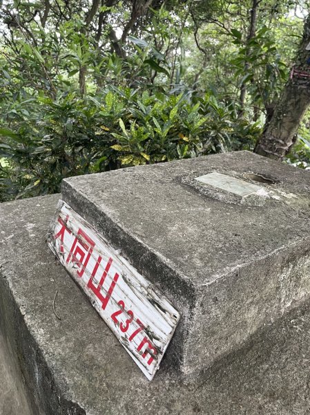 【大棟山系】405高地段2844913