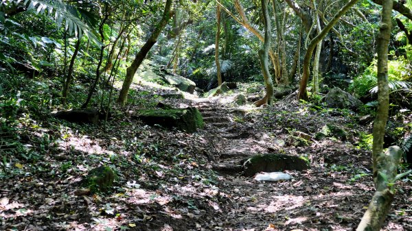 中山峽谷步道,海興步道,情人湖登山步道2581360