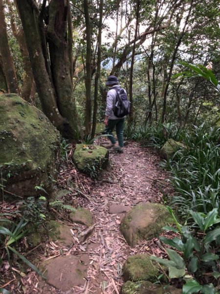 南勢角山（烘爐地—青春步道）550212