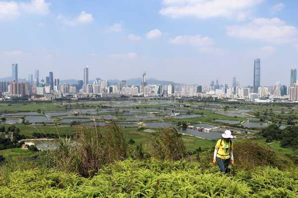 HK - 鐵坑，蛇嶺1268069