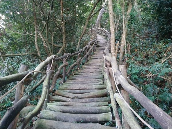 大坑步道全包一起登( 2 3維修)747623