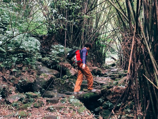 鴨寶｜淡蘭中路：十分─泰平1243751