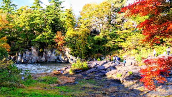 岩手縣嚴美溪2930217