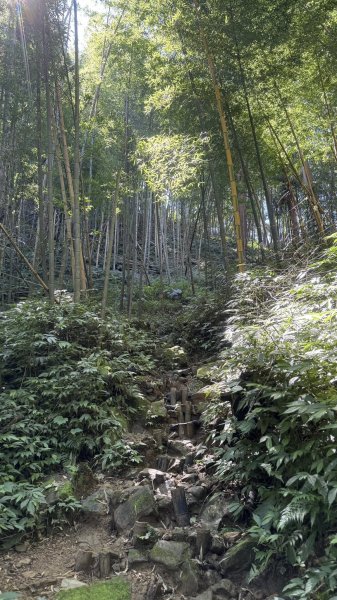 20250927小百岳鳳凰山2896388