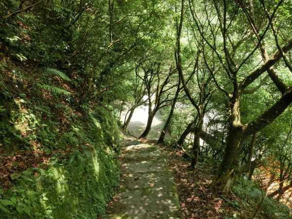 貂山古道．百二崁古道．樹梅坪古道134011