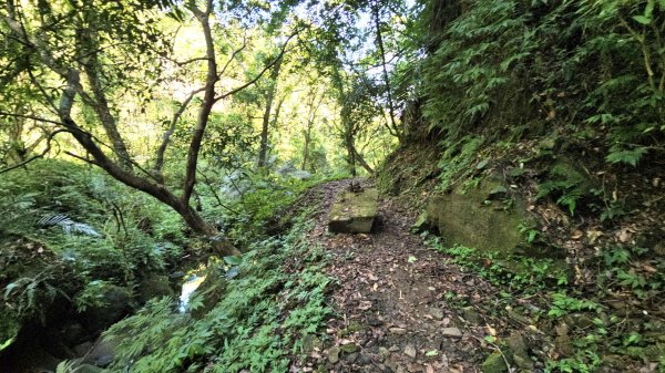 【淡蘭古道中路】崩山坑古道全段＆虎豹潭野餐2572650