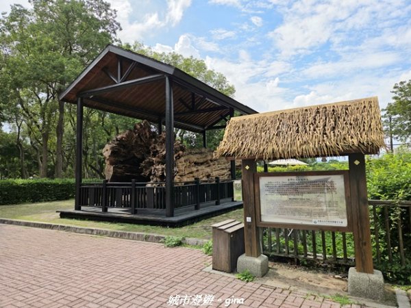 【台中東勢】東勢林業文化園區x許良宇圖書館3081518