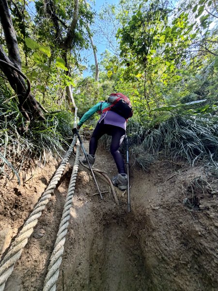 女仍山+帽子山O繞 202602273009548