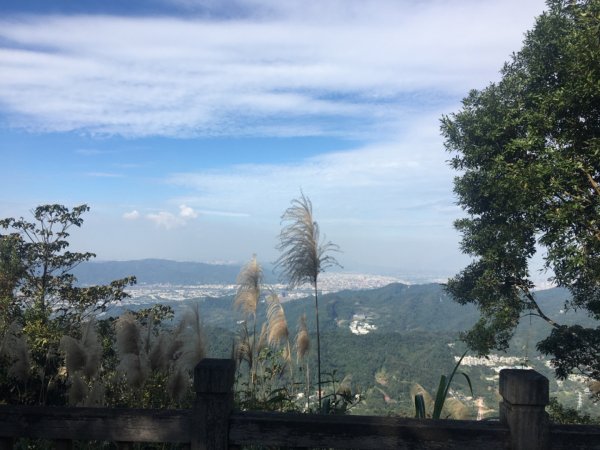 六寮崙山、雞罩山、白雞山8字走2371066