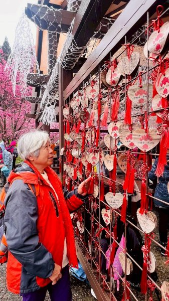 🌈3/1（日）福壽山農場~千櫻園✨FB：熊熊趴爬走🌈3008557