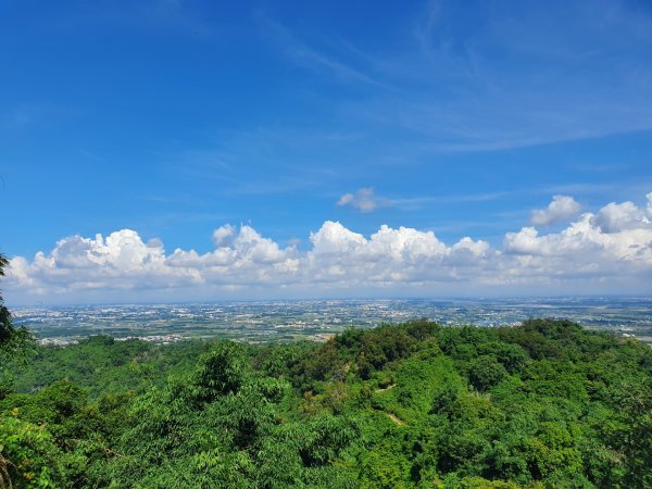 龍過脈森林步道1063091