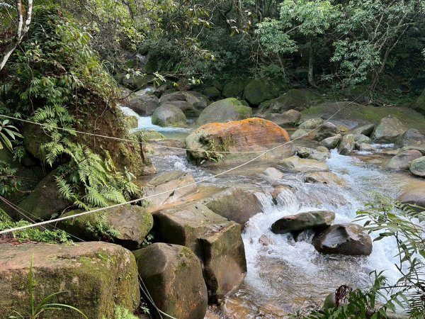 新北 汐止 柯子林橋-柯子林天然泳池-友蚋山南峰-友蚋山-新山-夢湖-柯子林橋2988374
