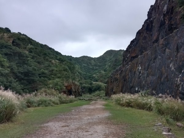瑞芳區本山地質公園步道+草山公路+百二崁古道+樹梅坪古道O型2945512