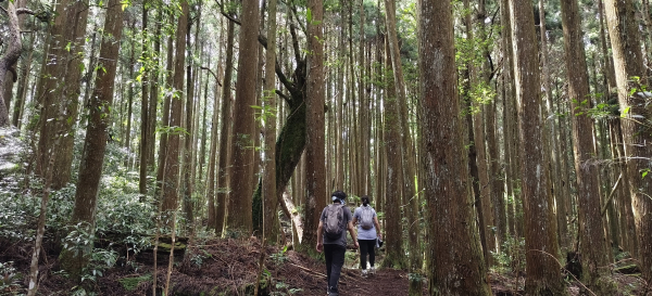 民都有山登山步道-2025/06/22