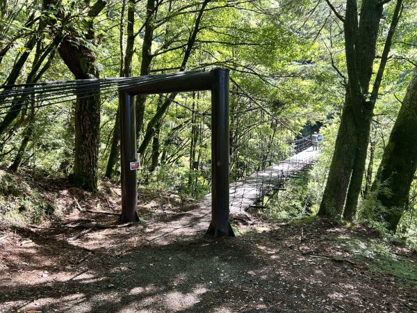 能高越嶺道-奇萊南華3083191