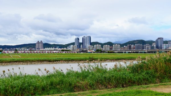 彩虹河濱,美堤河濱2645192