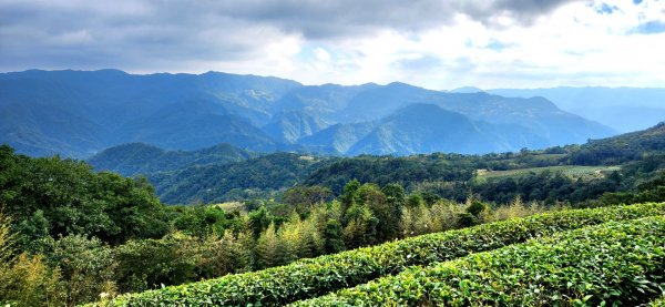 皇帝殿，獅公髻尾山，指南宮千階步道（竹柏參道），十六分山，貓空尖，絹絲瀑布步道1971417