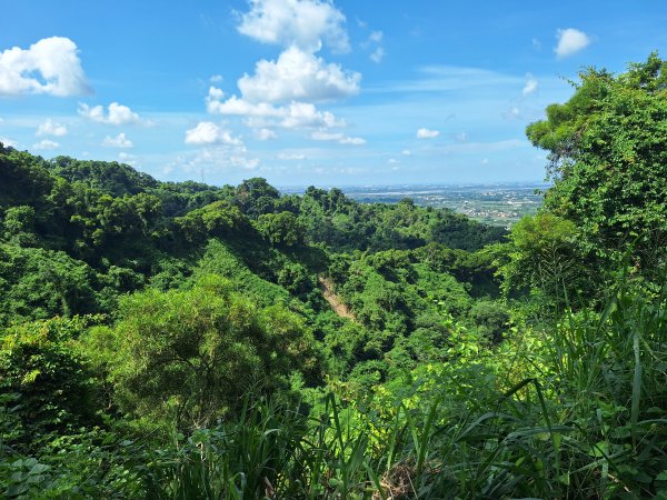 田中森林登山步道＋茶香步道＋赤水崎公園步道202508172862077