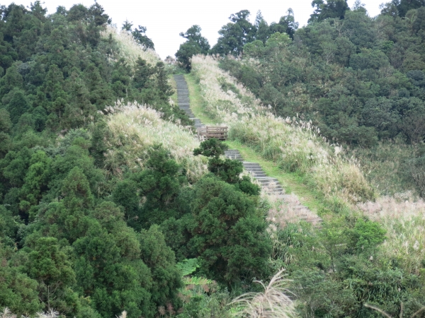 五分山萬里長城步道54738