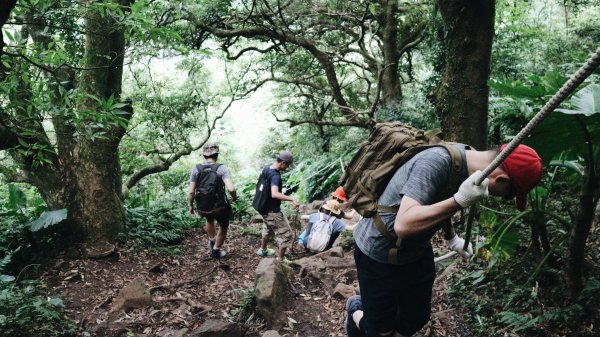 大屯山O型|一起來走陽明山縱走西段1005014