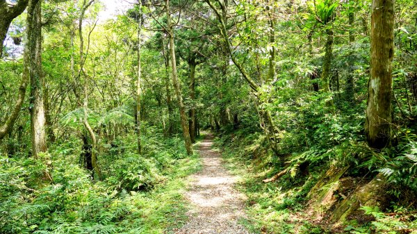 四堵溪畔古道2822111
