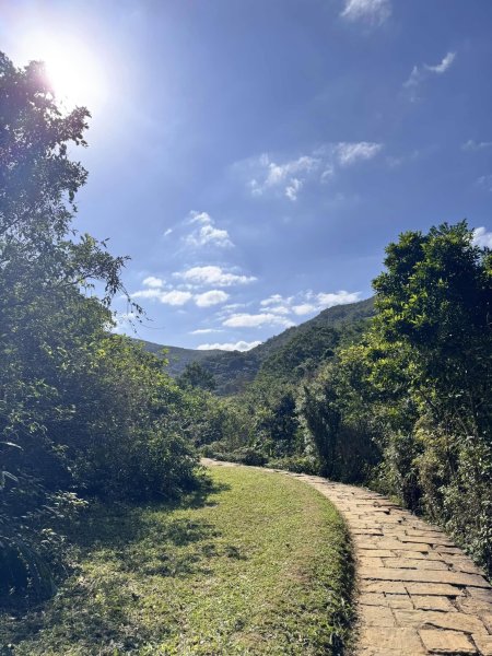 【宜蘭】草嶺古道2671448