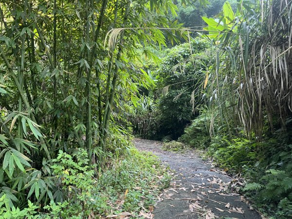 [皮皮獅Hike客任務-01/10] 2024_0720 打牛崎古道2557006