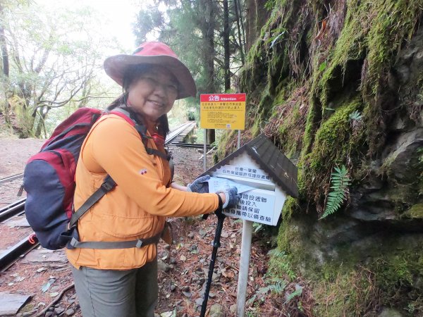 2023尋訪消失的眠月線聚焦失落沉寂的百年鐵道之旅2109681