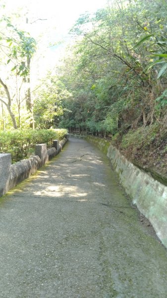 新田登山步道-聚興山1377616