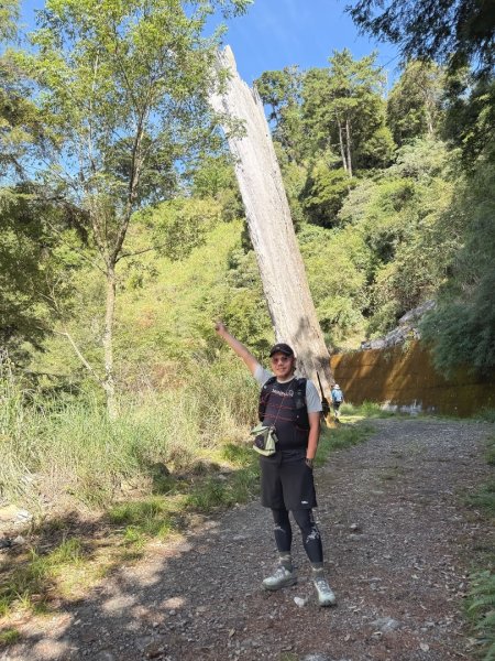船型山林道賞雲海、烏石坑山、2432峰 山景海景一次到位2929286
