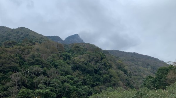 【中級山】明知山沒虎，偏向虎山行2441969