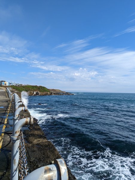 2023-02-11 八斗子潮境公園、環保復育公園步道2792555