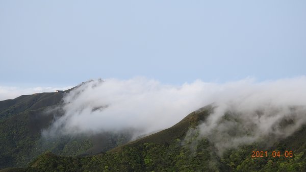 0405陽明山再見雲瀑，今年以來最滿意的一次1335443