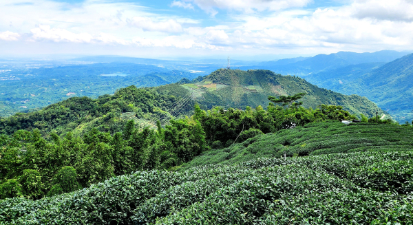 樟湖國小步道，挑筍古道，後棟仔山，大尖山，紅南坑森林古道（獨立山至大巃頂步道），大巃頂山，南投山坪頂茶山七星步道，瑞龍瀑布步道