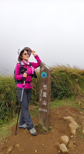陽明山輕鬆走2991987