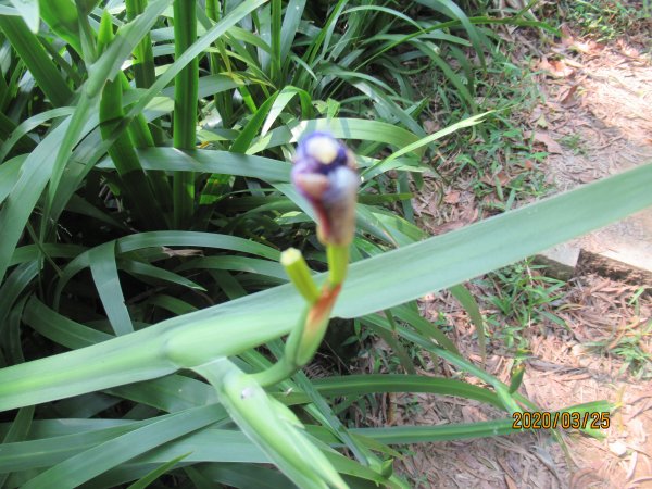 烘爐地南勢角山908503