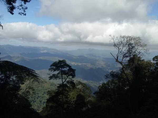 水社大山1916329