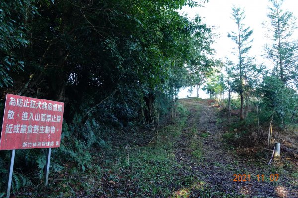 新竹 尖石 鎮子堡山、西納基山1507880