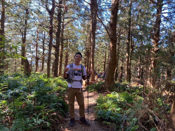 長壽山-醜崠山-鳶嘴山【既優雅又狂野的另類選擇】2673996