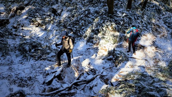 年初雪塔曼冬季戀歌的浪漫1412991