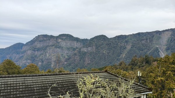 神阿縱走~台灣難抵極~大塔山2971463