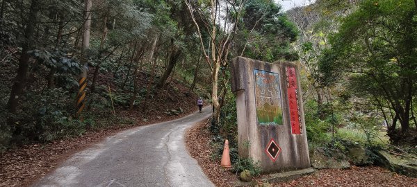 2025/12/25_冬瓜山神木步道2971959