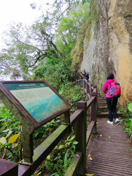 台南東山~山上尋悠。 #65小百岳崁頭山915986